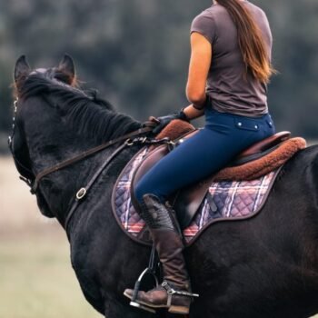 Uma pessoa com camisa marrom e calça de montaria azul senta-se em um cavalo escuro com a sela Suadouro Check Jump 16 Cypress, vista de lado, ao ar livre, contra um fundo desfocado.