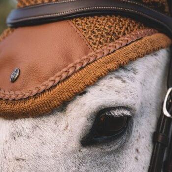 Close-up do olho de um cavalo branco, com sua cabeçada de couro e o gorro de orelha de crochê marrom Orelheiras Sixteen Cypress com acabamento trançado.