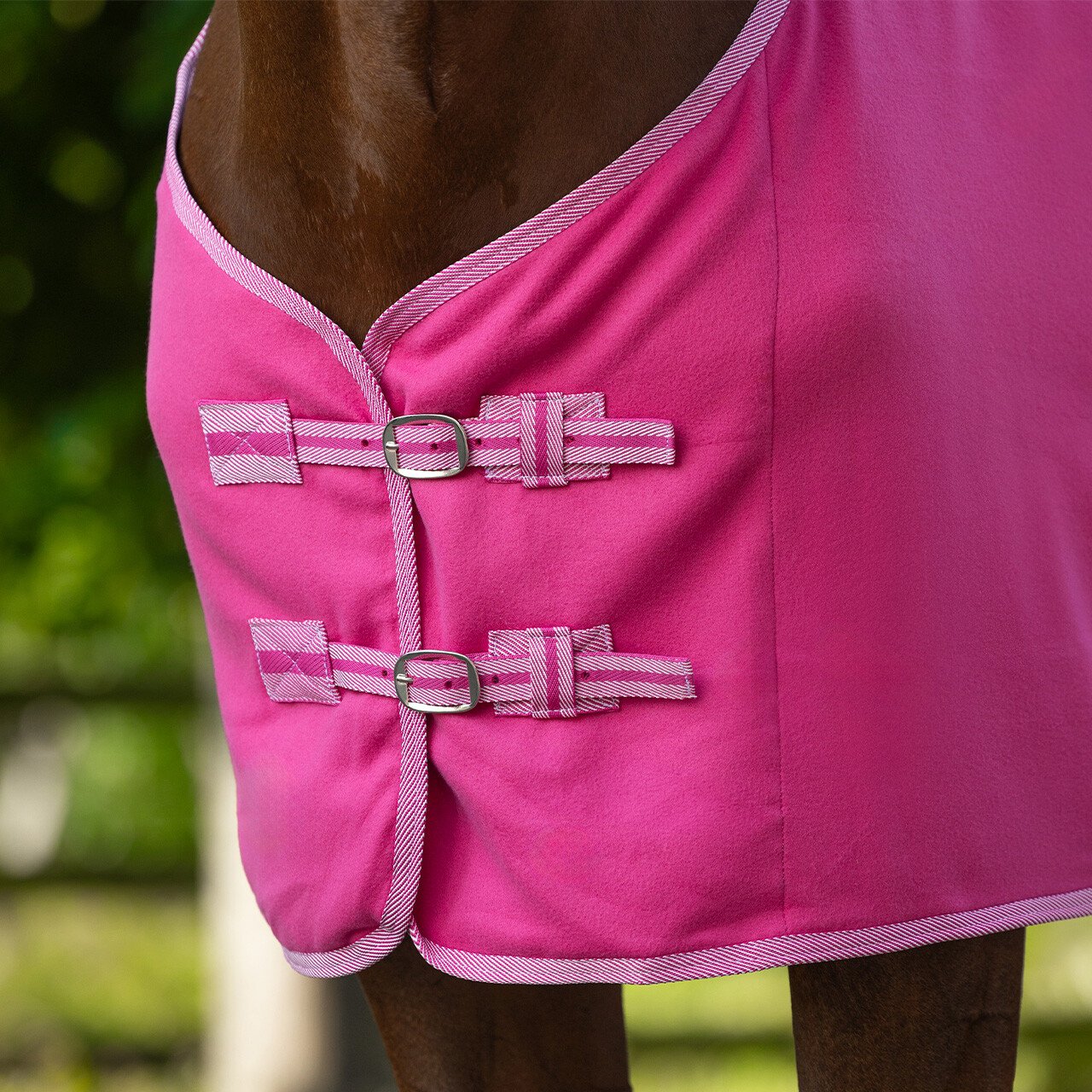 Cobrejão polar Color QHP - Image 3