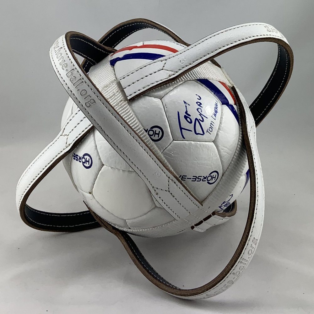 Horseball