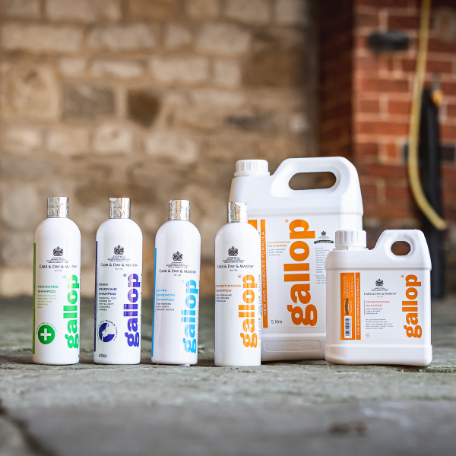 Champô acondicionador C&D Gallop Conditioning Shampoo - Image 5