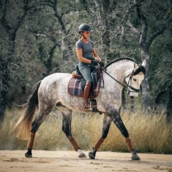Uma pessoa com capacete e equipamento de equitação monta um cavalo cinza com perneiras marrons e a sela Suadouro Check Dressage 16 Cypress em um caminho de areia, cercado por grama alta e árvores.