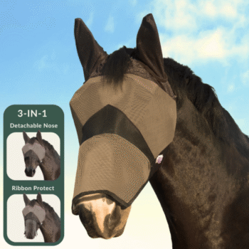 Cuidar e Limpar o Cavalo