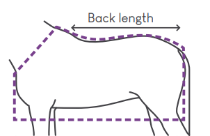 Cobrejão de Exterior Majorman 600 Denier 200g - Image 7