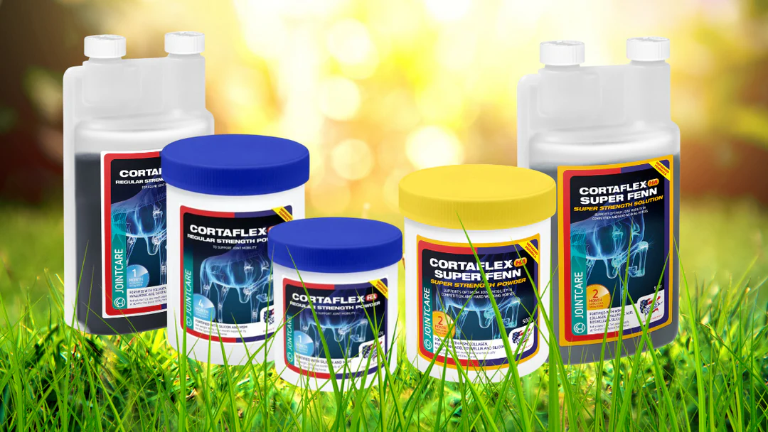 Gama Cortaflex para articulações do Cavalo.