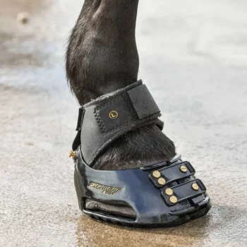 Protetor quartela em neoprene Scootboot