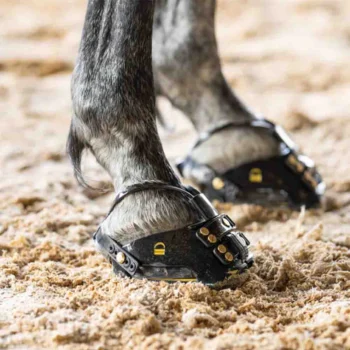 Bota para cavalos Scootboot modelo Theraride