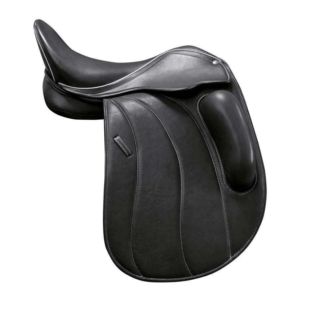 Dressage