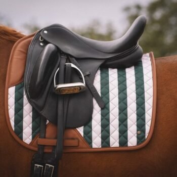 Um close-up de uma sela inglesa de adestramento Suadouro Classic Stripe 16 Cypress preta em um cavalo com uma almofada acolchoada com listras diagonais verdes e brancas e acabamento marrom, contra um fundo desfocado de árvores.