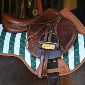 Um close-up de uma sela de couro marrom para cavalos apoiada em uma almofada acolchoada Suadouro Classic Stripe Jump 16 Cypress verde e branca no dorso de um cavalo, com estribo e correias visíveis.