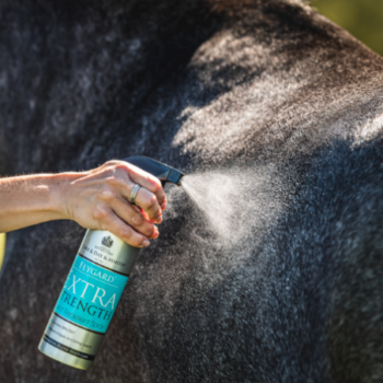 Uma mão borrifa Repelente Extra Strength C&D 500ml na pelagem escura e brilhante de um cavalo, a luz do sol capturando a névoa fina e destacando a textura de seu pelo.