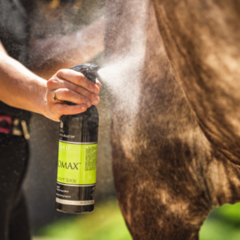 Uma mão pulveriza Repelente Natural Citromax C&D 500 ml no lado marrom de um cavalo, com a névoa claramente visível contra sua pelagem.
