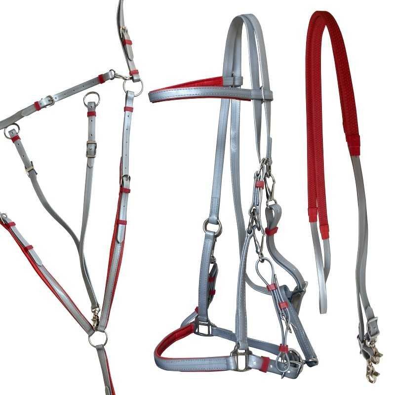 Endurance e Resistência Equestre